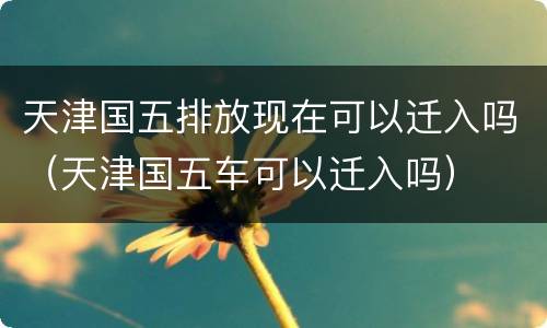 天津国五排放现在可以迁入吗（天津国五车可以迁入吗）