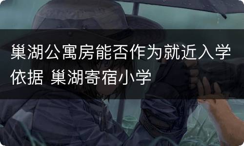 巢湖公寓房能否作为就近入学依据 巢湖寄宿小学