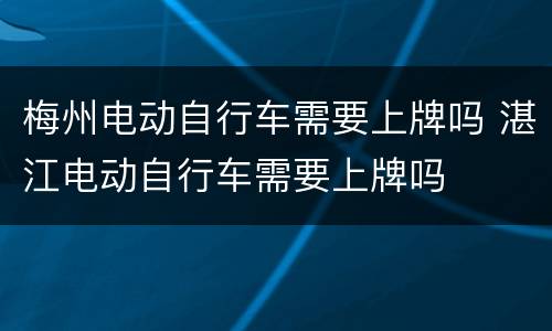 梅州电动自行车需要上牌吗 湛江电动自行车需要上牌吗