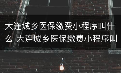 大连城乡医保缴费小程序叫什么 大连城乡医保缴费小程序叫什么