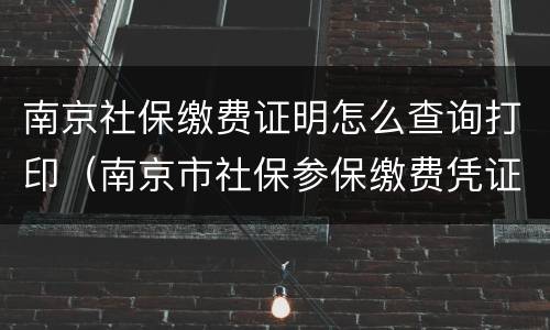 南京社保缴费证明怎么查询打印（南京市社保参保缴费凭证网上查询）