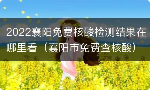 2022襄阳免费核酸检测结果在哪里看（襄阳市免费查核酸）