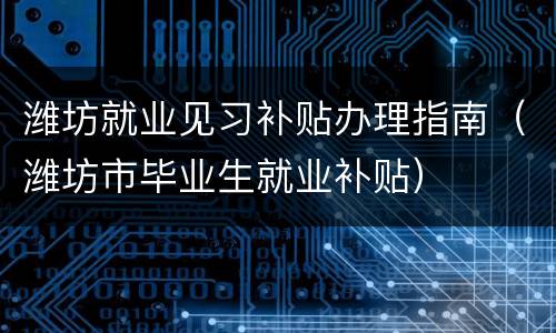 潍坊就业见习补贴办理指南（潍坊市毕业生就业补贴）