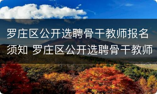 罗庄区公开选聘骨干教师报名须知 罗庄区公开选聘骨干教师报名须知