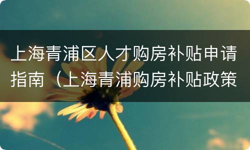 上海青浦区人才购房补贴申请指南（上海青浦购房补贴政策）