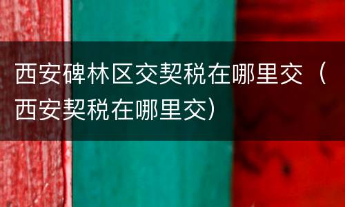 西安碑林区交契税在哪里交（西安契税在哪里交）