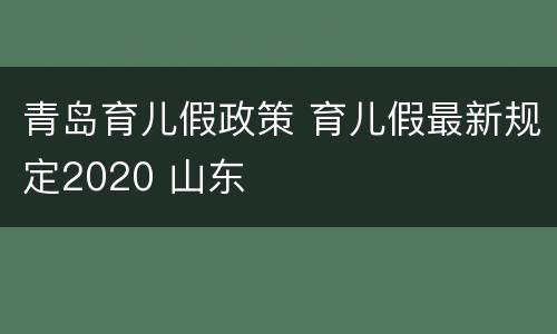 青岛育儿假政策 育儿假最新规定2020 山东