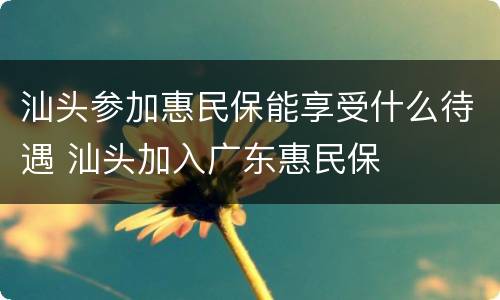 汕头参加惠民保能享受什么待遇 汕头加入广东惠民保