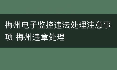 梅州电子监控违法处理注意事项 梅州违章处理