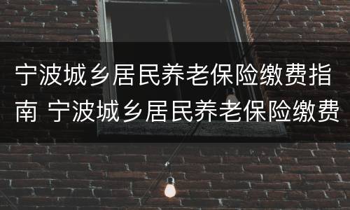 宁波城乡居民养老保险缴费指南 宁波城乡居民养老保险缴费指南下载