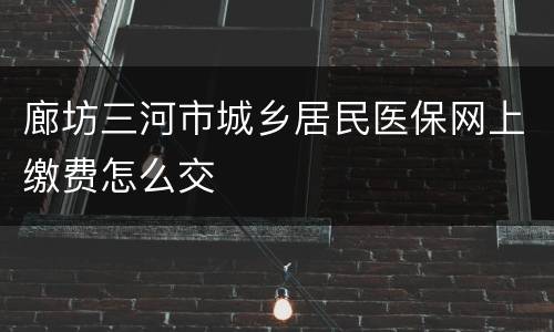 廊坊三河市城乡居民医保网上缴费怎么交