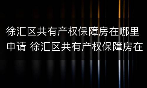徐汇区共有产权保障房在哪里申请 徐汇区共有产权保障房在哪里申请摇号
