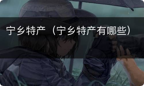 宁乡特产（宁乡特产有哪些）
