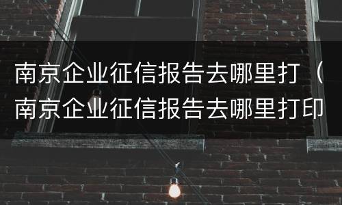 南京企业征信报告去哪里打（南京企业征信报告去哪里打印）