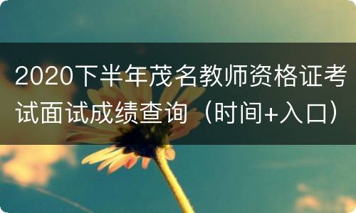 2020下半年茂名教师资格证考试面试成绩查询（时间+入口）