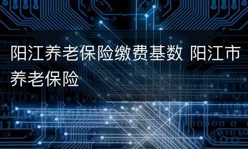 阳江养老保险缴费基数 阳江市养老保险