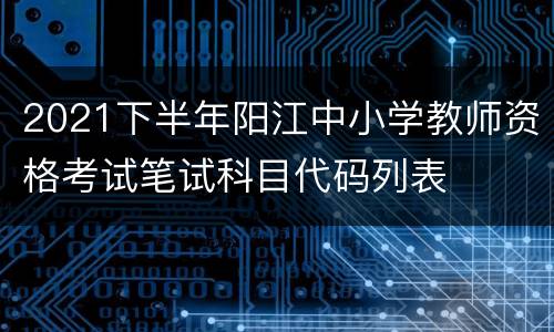 2021下半年阳江中小学教师资格考试笔试科目代码列表