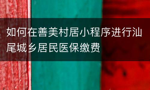 如何在善美村居小程序进行汕尾城乡居民医保缴费