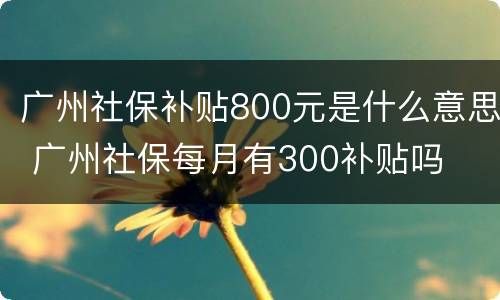 广州社保补贴800元是什么意思 广州社保每月有300补贴吗