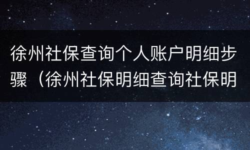 徐州社保查询个人账户明细步骤（徐州社保明细查询社保明细怎么查）