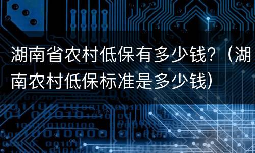 湖南省农村低保有多少钱?（湖南农村低保标准是多少钱）