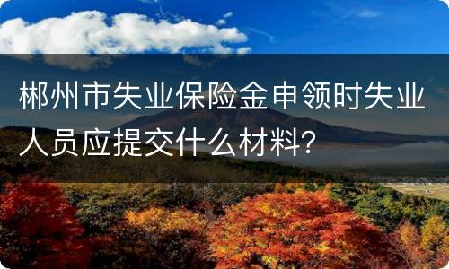 郴州市失业保险金申领时失业人员应提交什么材料？