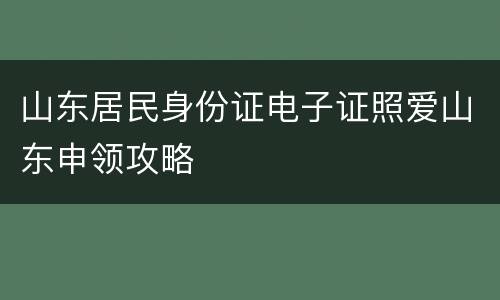 山东居民身份证电子证照爱山东申领攻略