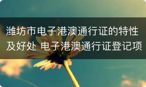 潍坊市电子港澳通行证的特性及好处 电子港澳通行证登记项目