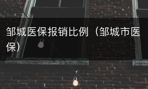 邹城医保报销比例（邹城市医保）