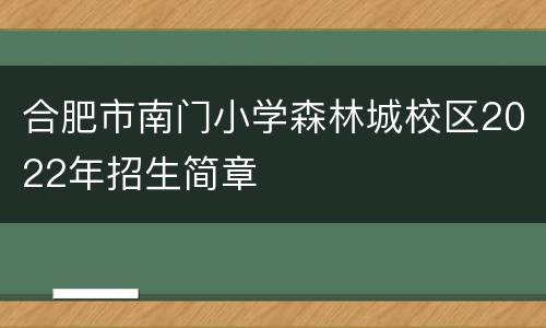 合肥市南门小学森林城校区2022年招生简章
