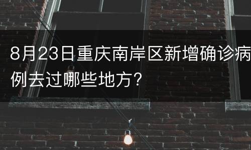 8月23日重庆南岸区新增确诊病例去过哪些地方?
