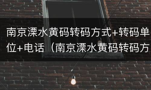 南京溧水黄码转码方式+转码单位+电话（南京溧水黄码转码方式 转码单位 电话查询）
