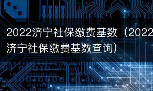 2022济宁社保缴费基数（2022济宁社保缴费基数查询）