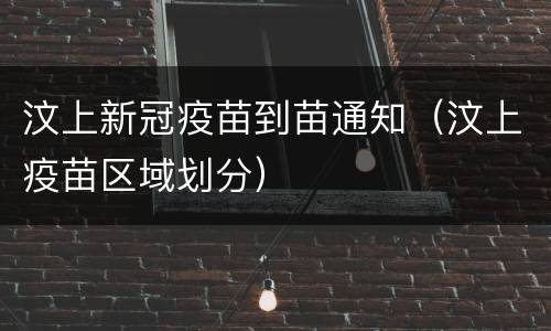 汶上新冠疫苗到苗通知（汶上疫苗区域划分）