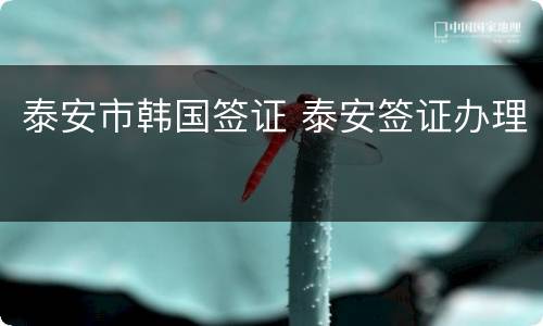 泰安市韩国签证 泰安签证办理