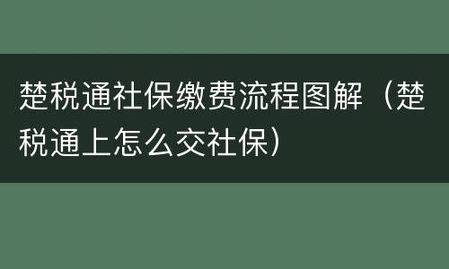 楚税通社保缴费流程图解（楚税通上怎么交社保）