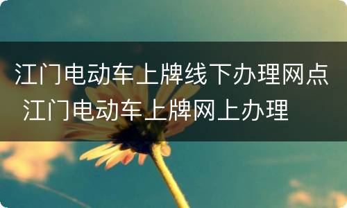 江门电动车上牌线下办理网点 江门电动车上牌网上办理