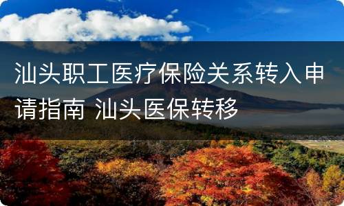 汕头职工医疗保险关系转入申请指南 汕头医保转移