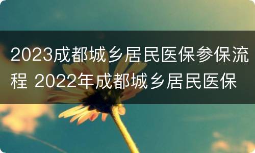 2023成都城乡居民医保参保流程 2022年成都城乡居民医保