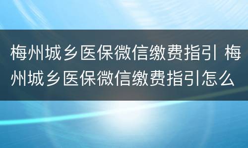 梅州城乡医保微信缴费指引 梅州城乡医保微信缴费指引怎么查