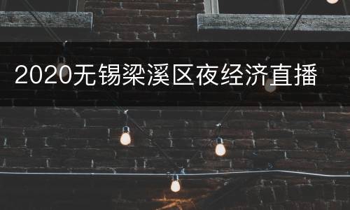 2020无锡梁溪区夜经济直播