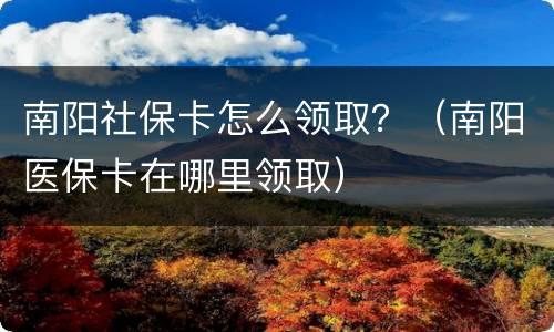 南阳社保卡怎么领取？（南阳医保卡在哪里领取）
