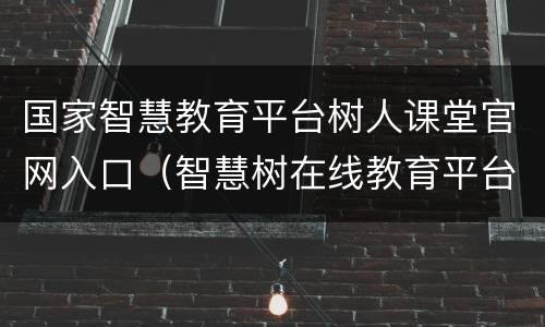 国家智慧教育平台树人课堂官网入口（智慧树在线教育平台登录入口）