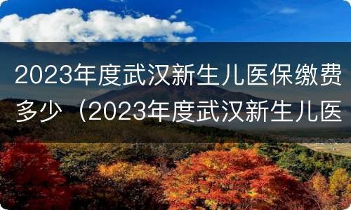 2023年度武汉新生儿医保缴费多少（2023年度武汉新生儿医保缴费多少呢）