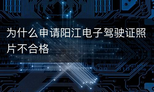 为什么申请阳江电子驾驶证照片不合格