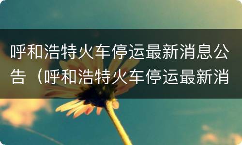 呼和浩特火车停运最新消息公告（呼和浩特火车停运最新消息查询）