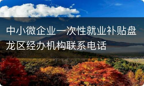 中小微企业一次性就业补贴盘龙区经办机构联系电话