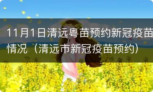11月1日清远粤苗预约新冠疫苗情况（清远市新冠疫苗预约）