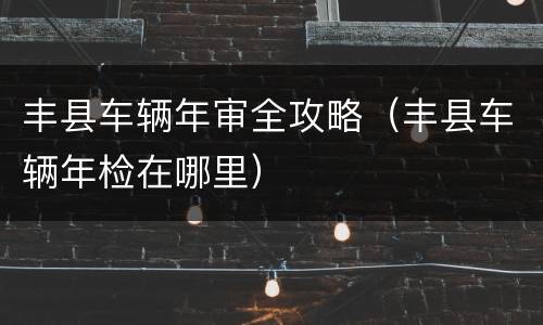 丰县车辆年审全攻略（丰县车辆年检在哪里）