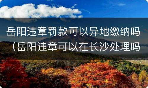 岳阳违章罚款可以异地缴纳吗（岳阳违章可以在长沙处理吗）